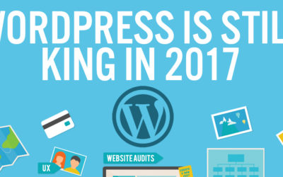 WordPress Statistics (WP is Still King for 2017) [infographic]